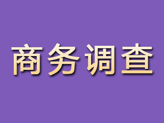 岳西商务调查